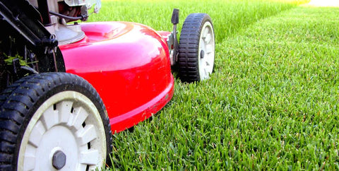 Mow your lawn with our fall cleanup special checklist.
