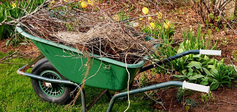 Spring Cleanup - Wheelbarrow and branches.