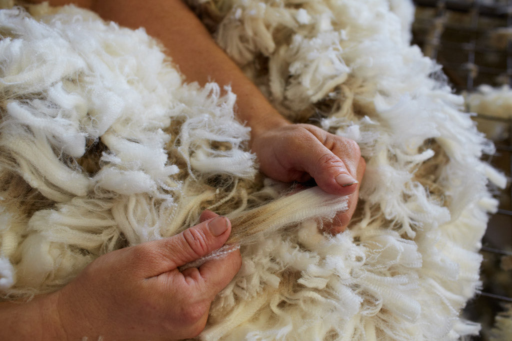 Merino Wool