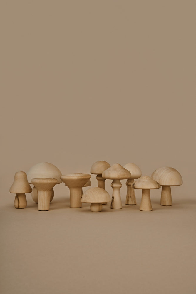 Moon Picnic - Forest Mushrooms in A Box
