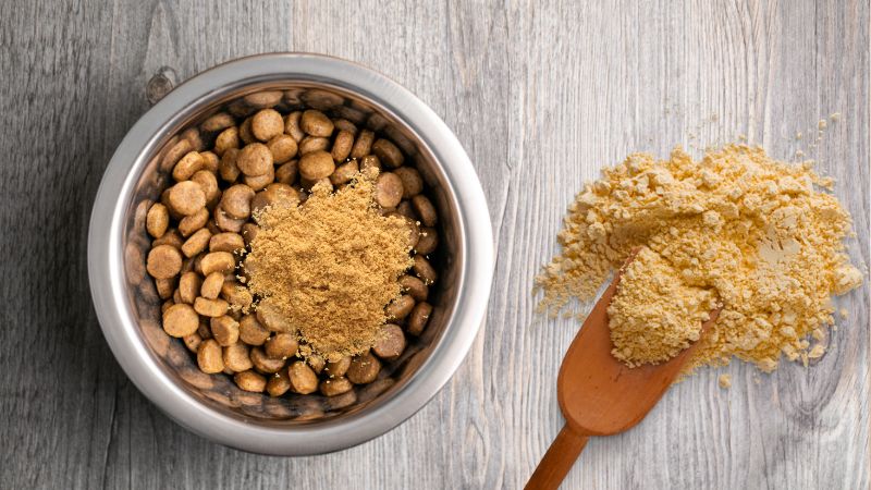 Dog food with medication powder