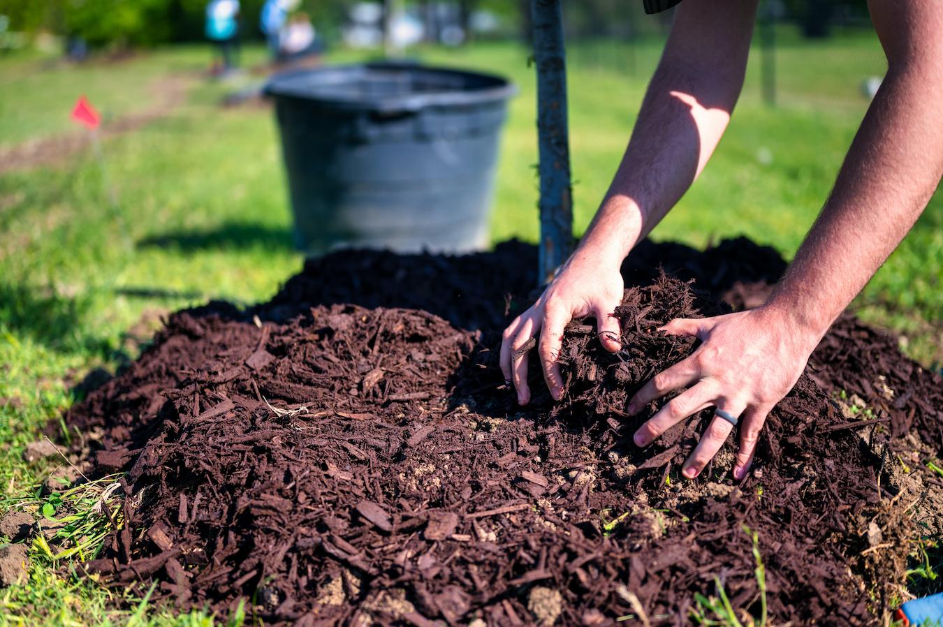 A compost heap or a compost bin is a good zero waste strategy because composting repurposes waste in a compost heap or a compost bin buy a compost bin or compost bins today to start