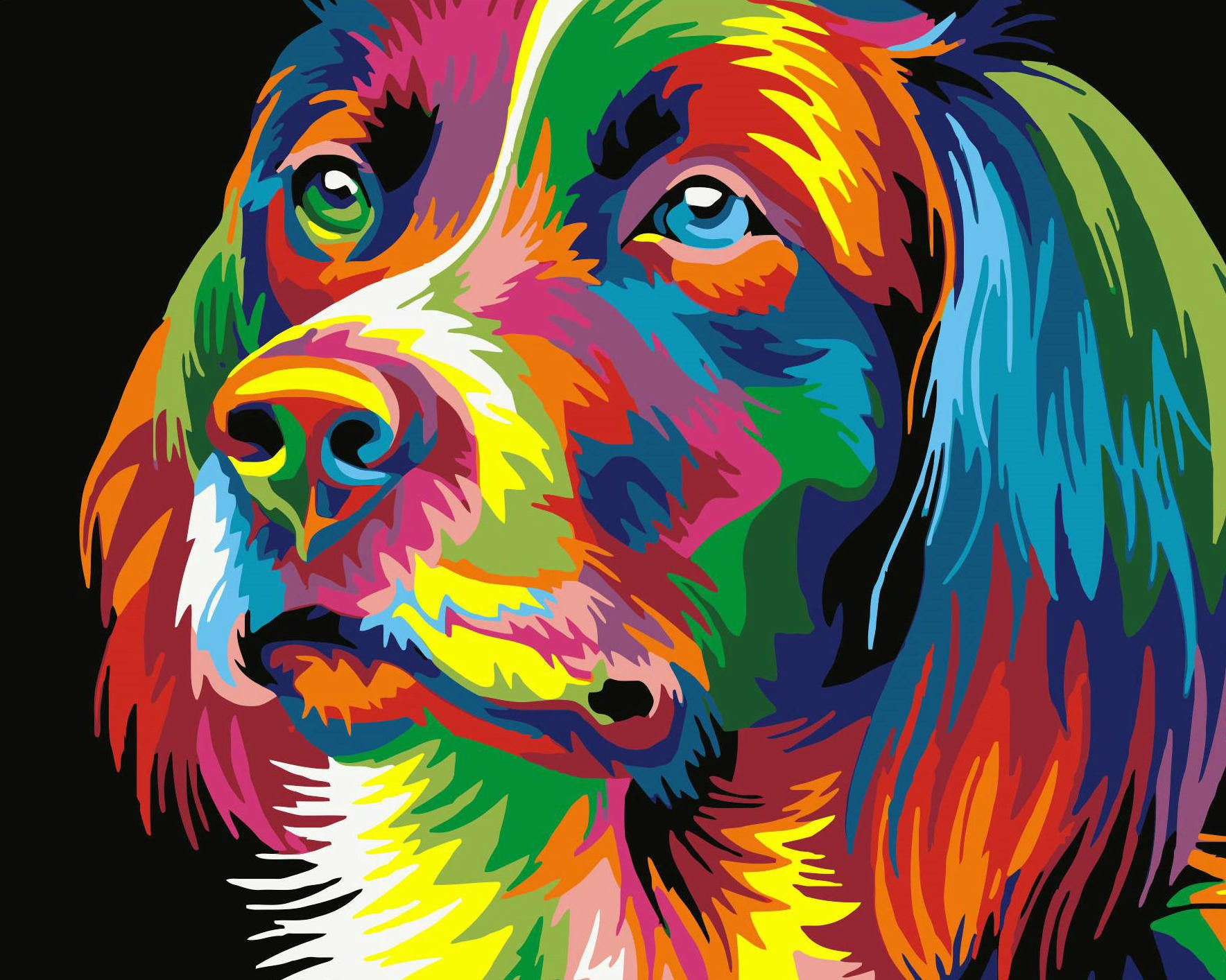 Pop Art Dog Diy Paint By Numbers Kits Uk Wm230 Victoriasmoon Reviews On Judge Me