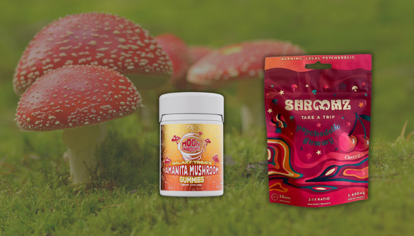 Amanita Muscaria Products