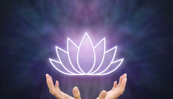 What is Blue Lotus?