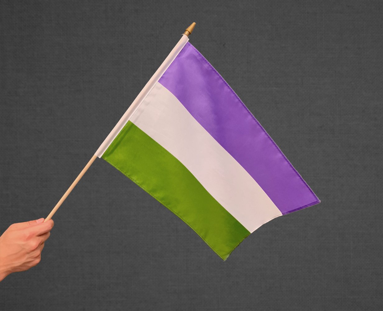 Genderqueer Stick Flag 12x18in Rad Pride You Shop We Donate 9282