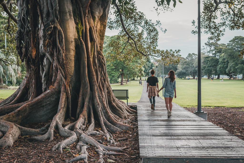 Two people walk on wooden boardwalk underneath large tree outdoors