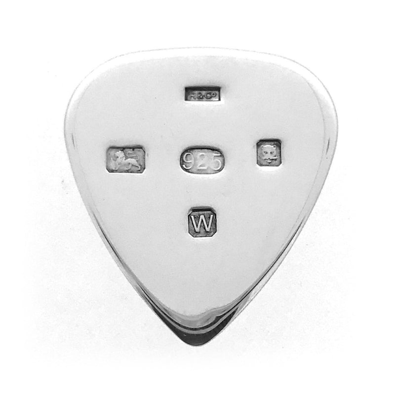 solid silver guitar pick