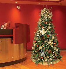 9.5' Calgary Pine Tree located in Dental Office Lobby