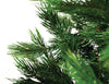 Calgary Pine Foliage Close-up