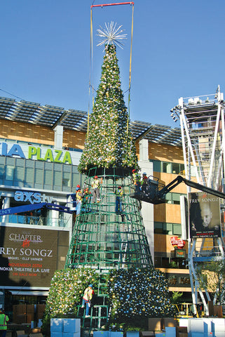 Installation of Giant 72' Sequoia Tree