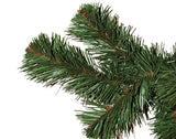 Mountain Pine Foliage Close-up