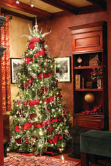 Indoor Monarch Pine Christmas Tree
