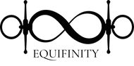 Equifinity