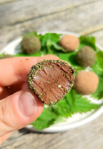 nettle and ginger chocolate truffle