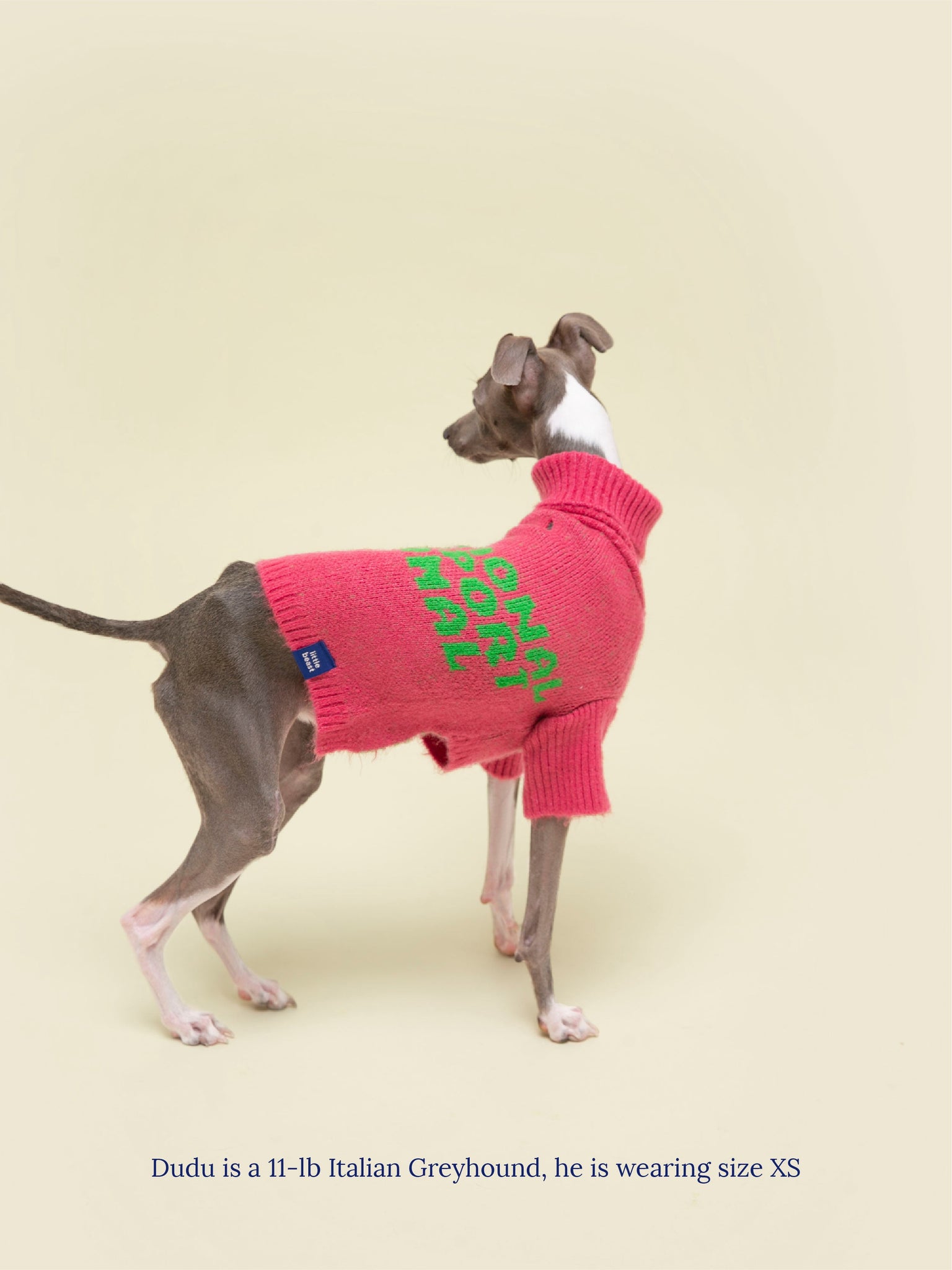 emotional support dog sweater