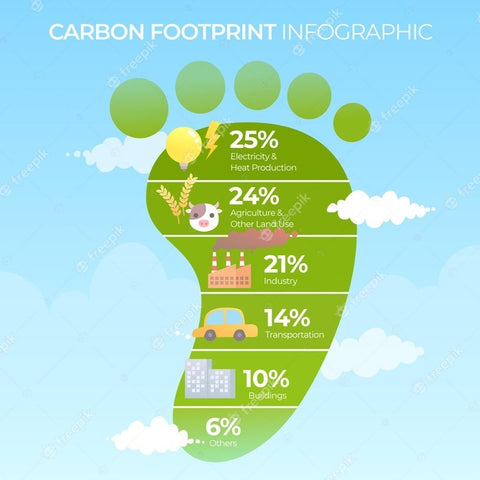 Carbon Footprint Infographic 