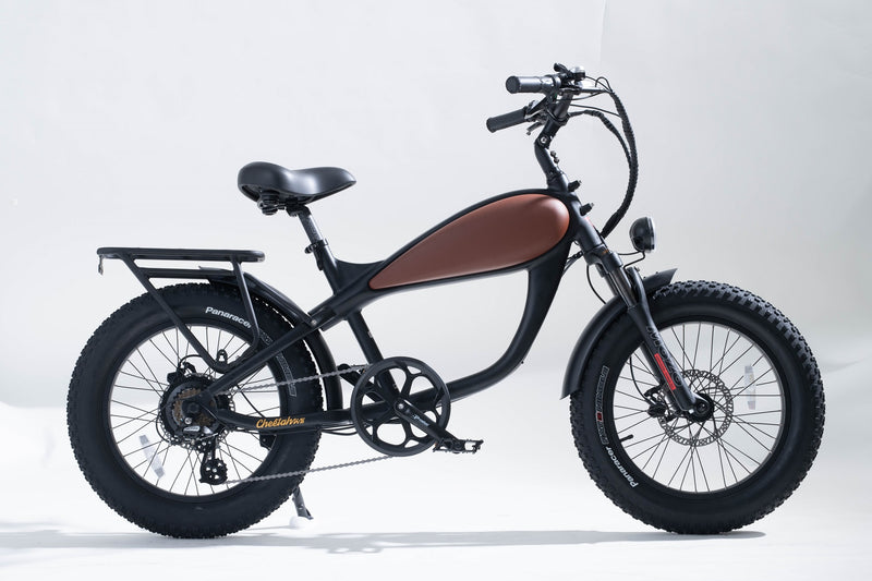 Rack and Fender Bundle for Cheetah Electric Bike by Revi Bikes All