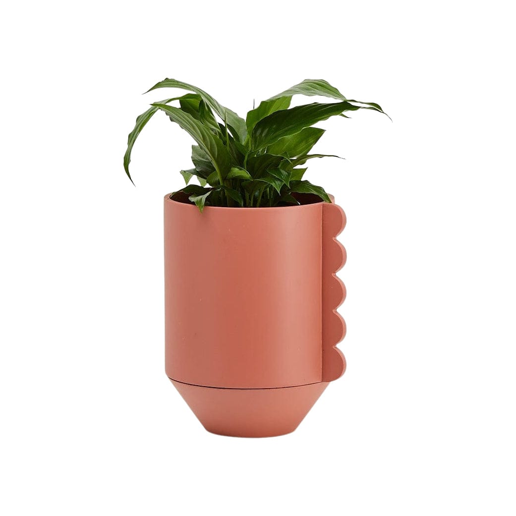 Frill Feature Planter