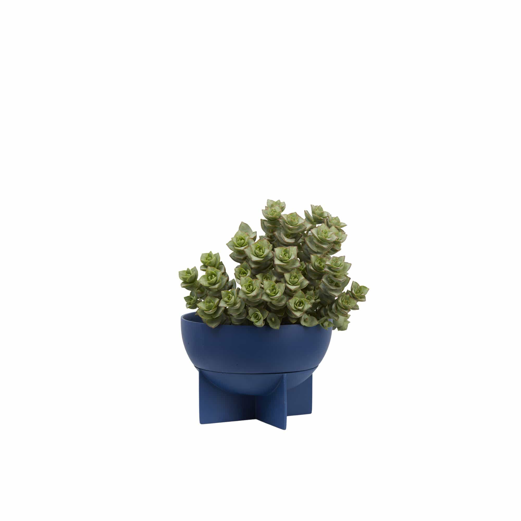 Dome Eros Planter