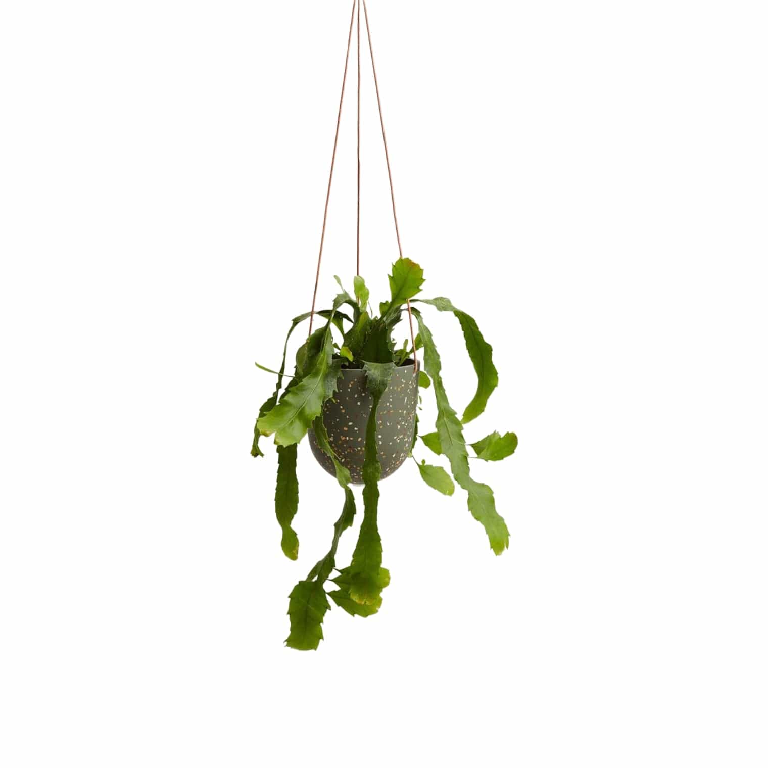 Terrazzo Hanging Planter