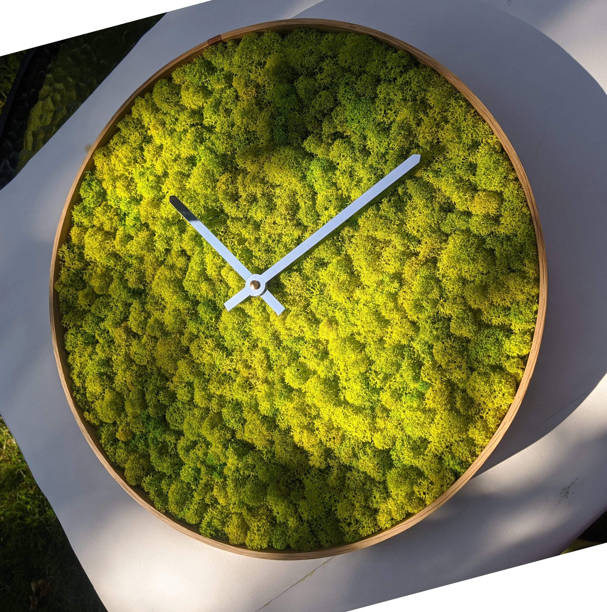 MossTime Moss Wall Clock in May Green uses hand-curved bentwood solid English oak and real Scandinavian reindeer moss with German Hermle clock movement technique for silent quartz, no tick sound | padstyle.com