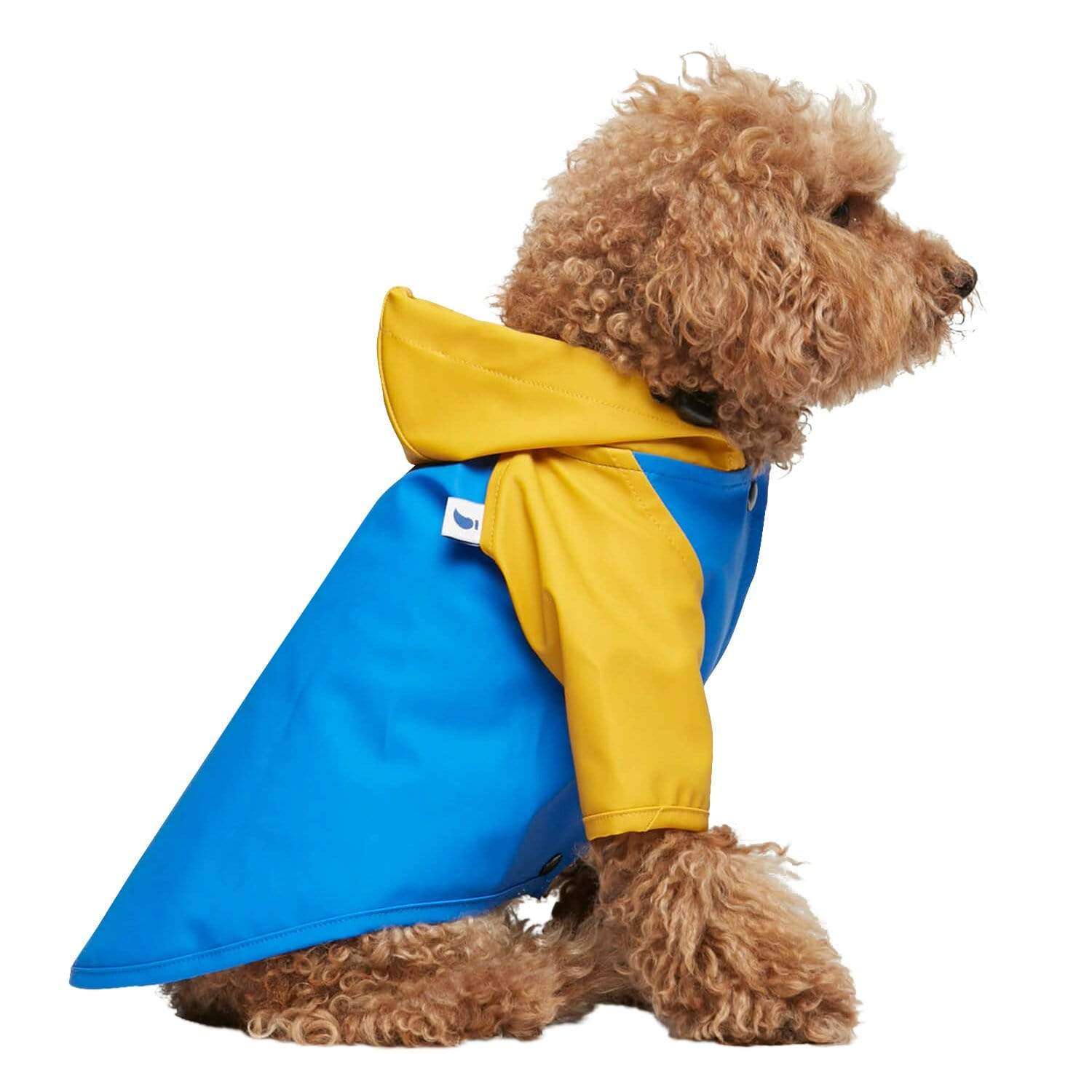 yellow dog coats