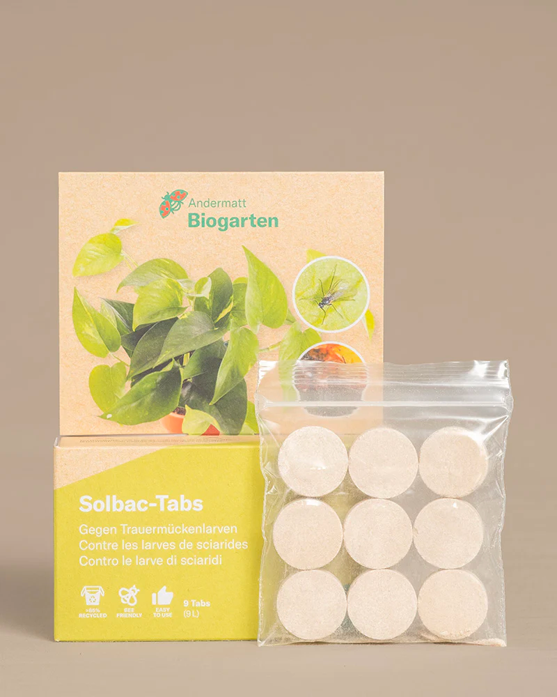 9 Solbac Tabs stehen vor der Verpackung