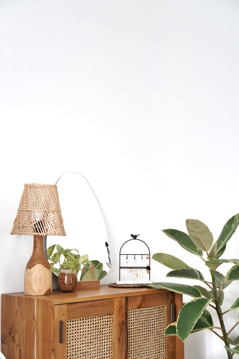 Hölzernes Sideboard mit Holzlampe vor weisser Wand, darauf eine kleine grüne Pflanze, davor ein Gummibaum variegata