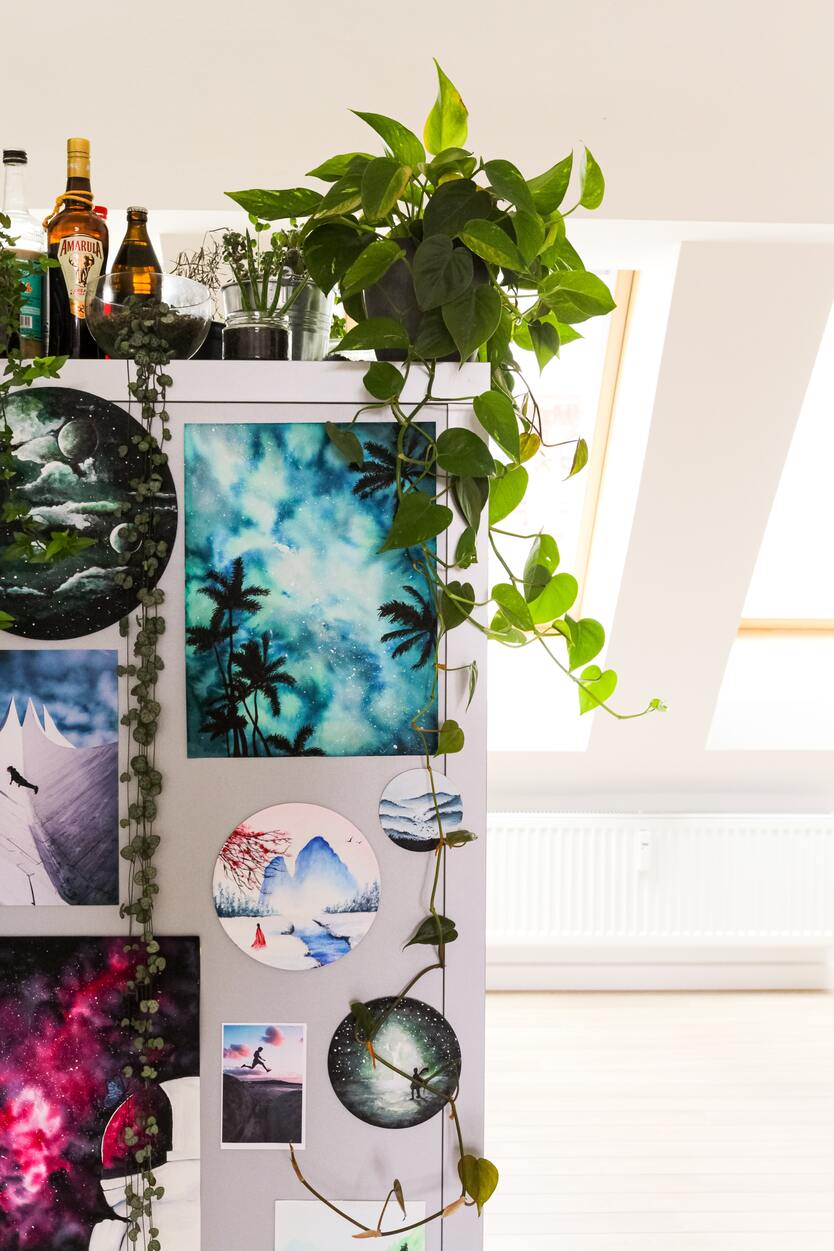 Leuchterpflanze, Efeutute und Philodendron scandens auf einem Schrank, der mit Postern beklebt ist