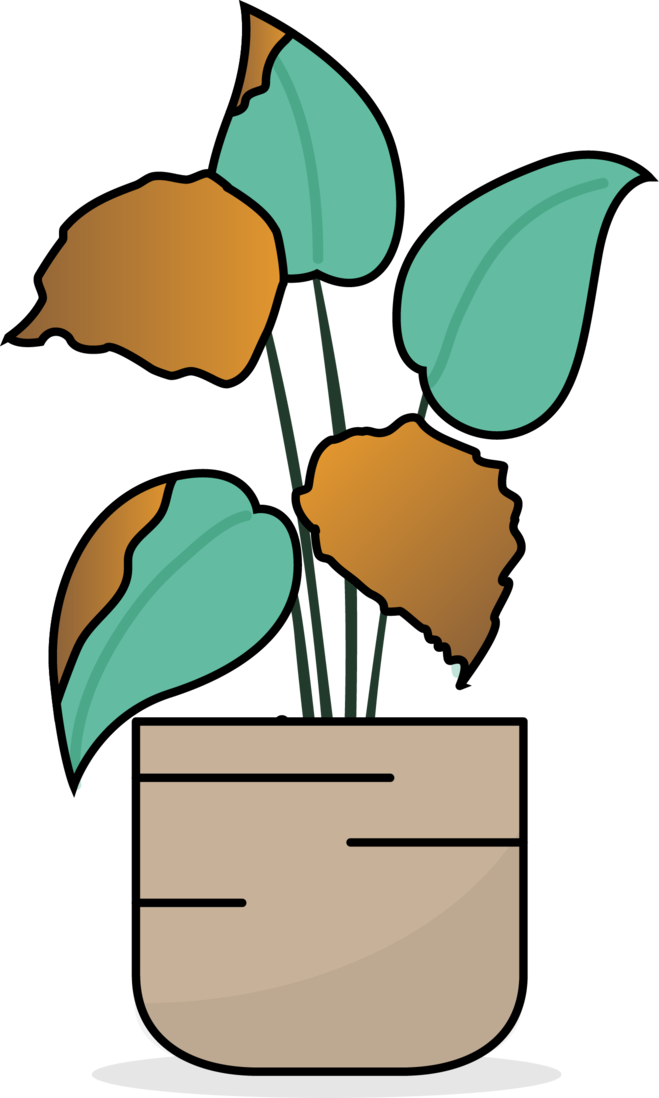 Grafik einer Pflanze, deren Blätter braun werden