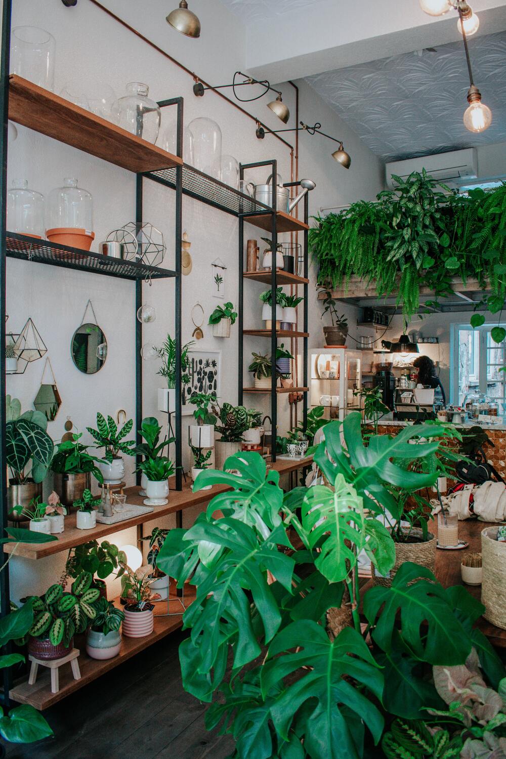 Dschungelartige Küche oder Café mit einem Tresen, davor buschige Pflanzen auf dem Boden, kleinere auf mehreren Ebenen eines Wandregals und Farnen über der Theke