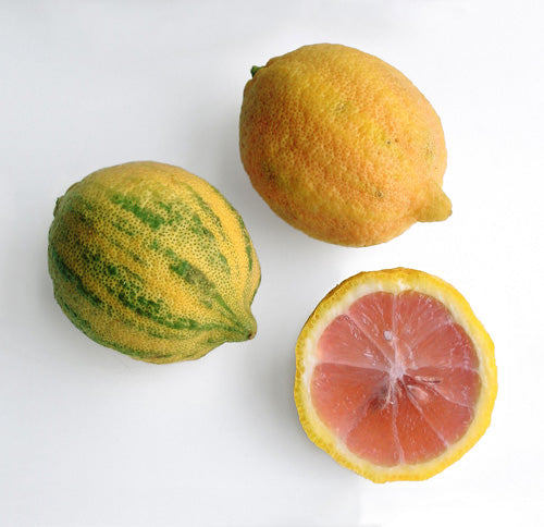 Zwei Zitronen, eine mit leicht rötlichen Streifen, eine mit grünen Streifen, daneben eine aufgeschnittene Zitronenhälfte mit rosa Fruchtfleisch