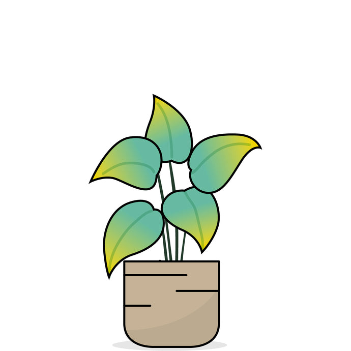 Grafik einer Pflanze, deren Blätter gelb werden