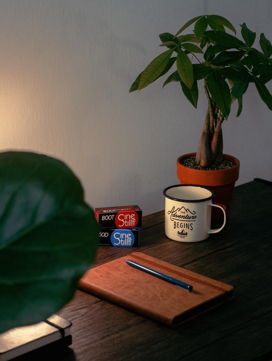 Glückskastanie in einem dunklen Arbeitszimmer neben einem Notizblock und einer Adventure-Tasse