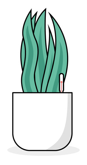Grafik einer Pflanze in weissem Topf mit Wasserstandsanzeige