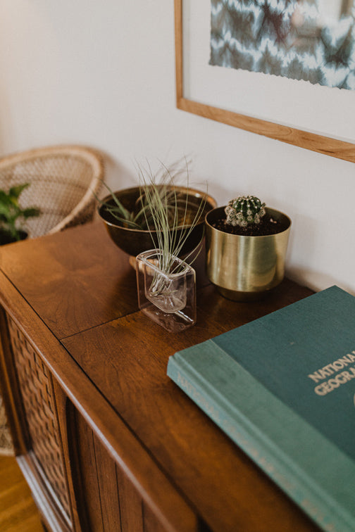 Hölzernes Sideboard mit kleinem Kaktus und Luftpflanze, daneben ein Buch und dahinter ein Bild an einer weissen Wand
