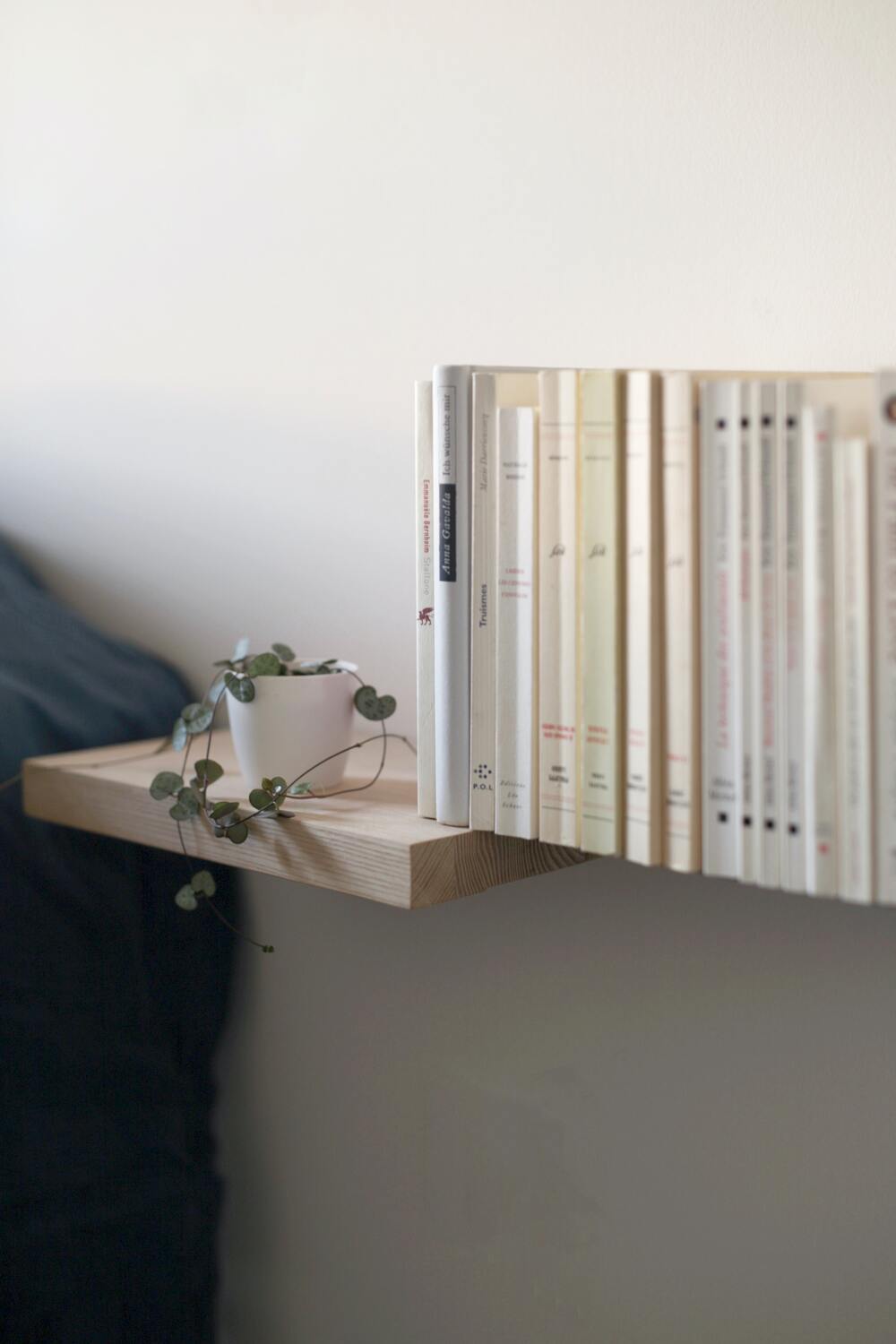 Leuchterpflanze in weissem Topf auf einem Holzregal, daneben Bücher scheinbar in der Luft schwebend