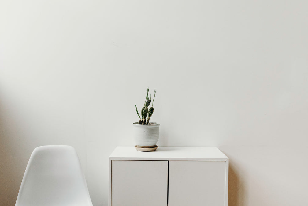 Weisses Sideboard, weisser Stuhl, weisse Wand und Kaktus