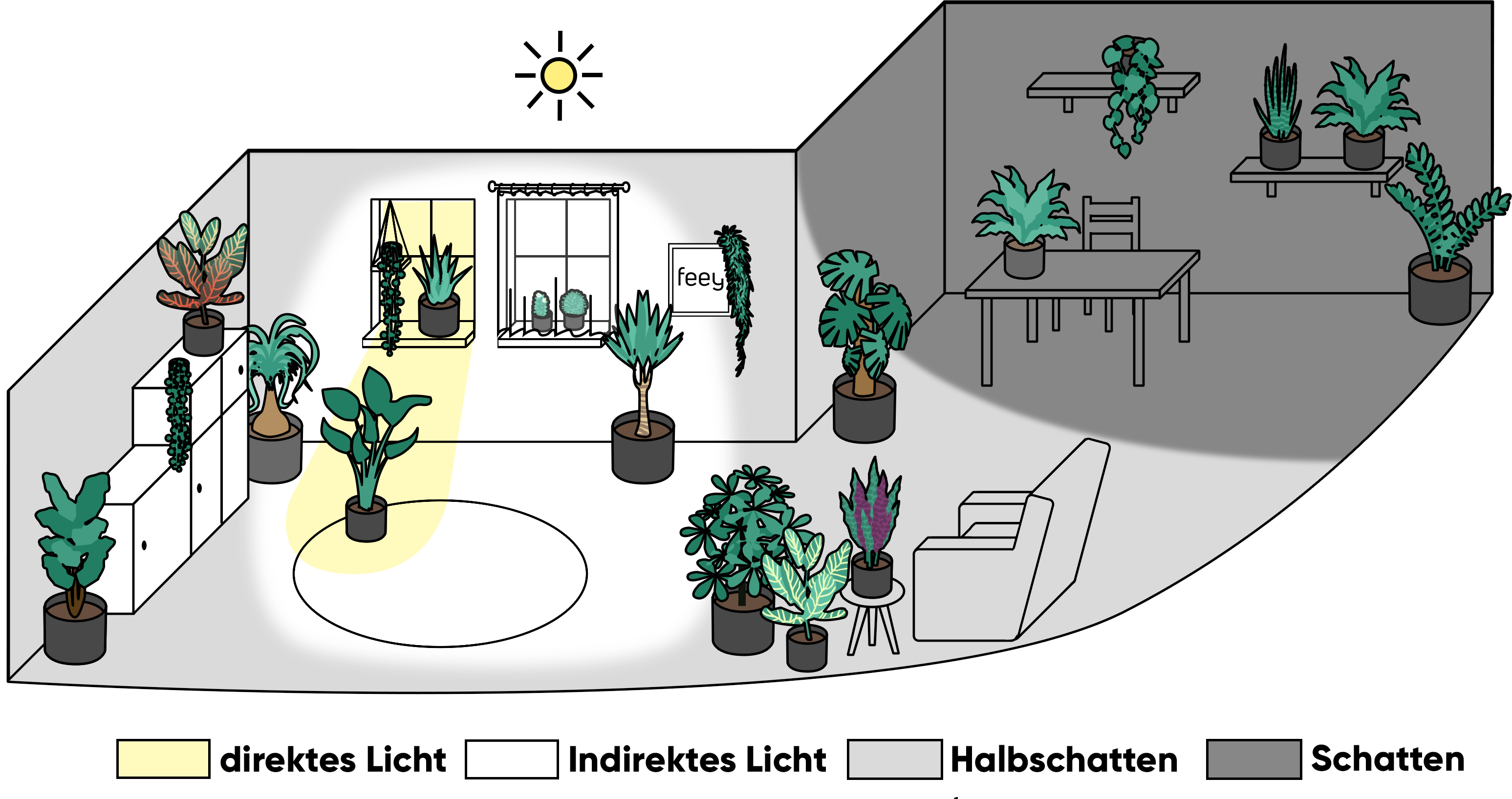 Lichtbereiche: Direktes Licht heisst in unmittelbarer Nähe von Fenstern, indirektes Licht an deren Rand, Halbschatten ein paar Meter vom Fenster entfernt und Schatten in Räumen oder Ecken ohne Fenster