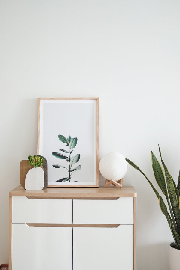 Weisses Sideboard mit Holzverkleidung, darauf eine kleine Pflanze und das Bild eines Gummibaums, rechts vom Sideboard eine grosse grüne Schwiegermutterzunge