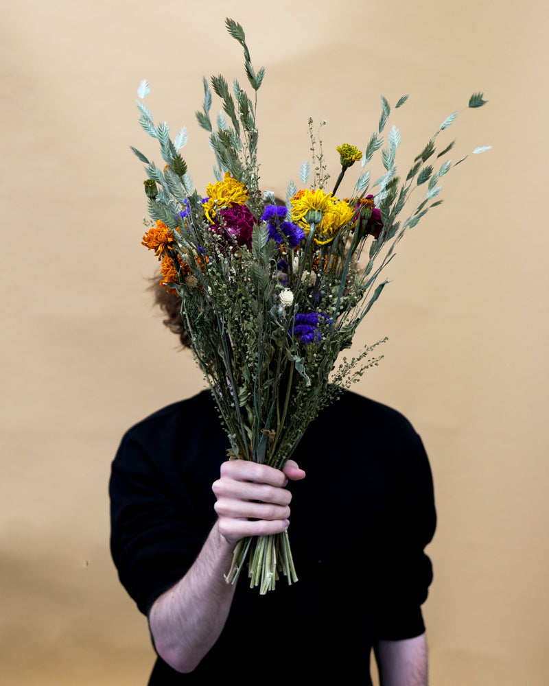 Muntermacher-Trockenblumen-Strauss mit gelben und violetten Blüten, von Ivo gehalten