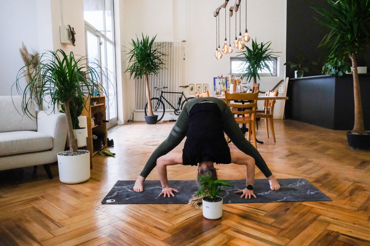 Plant-Yogi Hanna steht mit gestreckten, breiten Beinen vornübergebeugt, die Pflanze vor ihr stehend