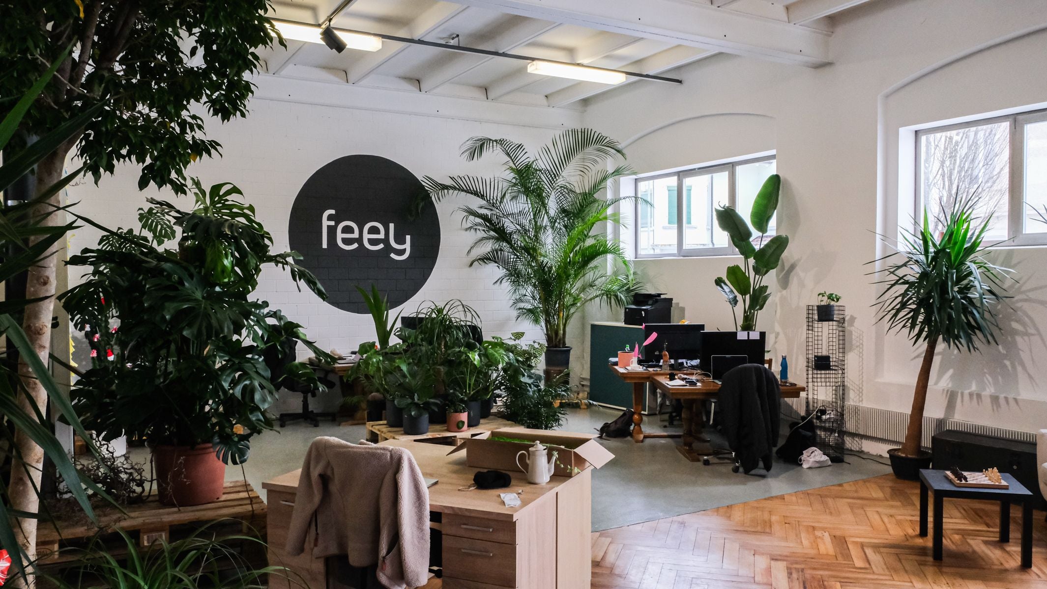 feey HQ feey HQ