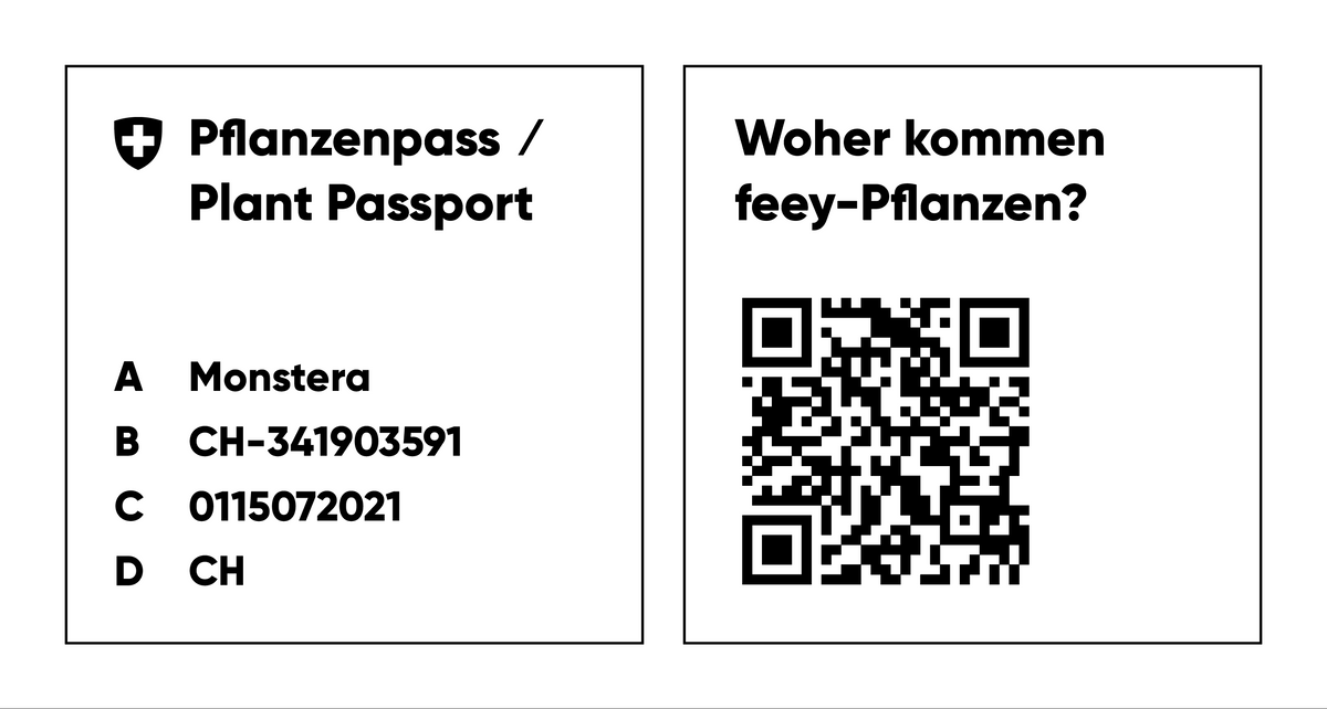 Pflanzenpass-Beispiel einer Monstera mit Herkunftsland Schweiz und QR-Code für die Website