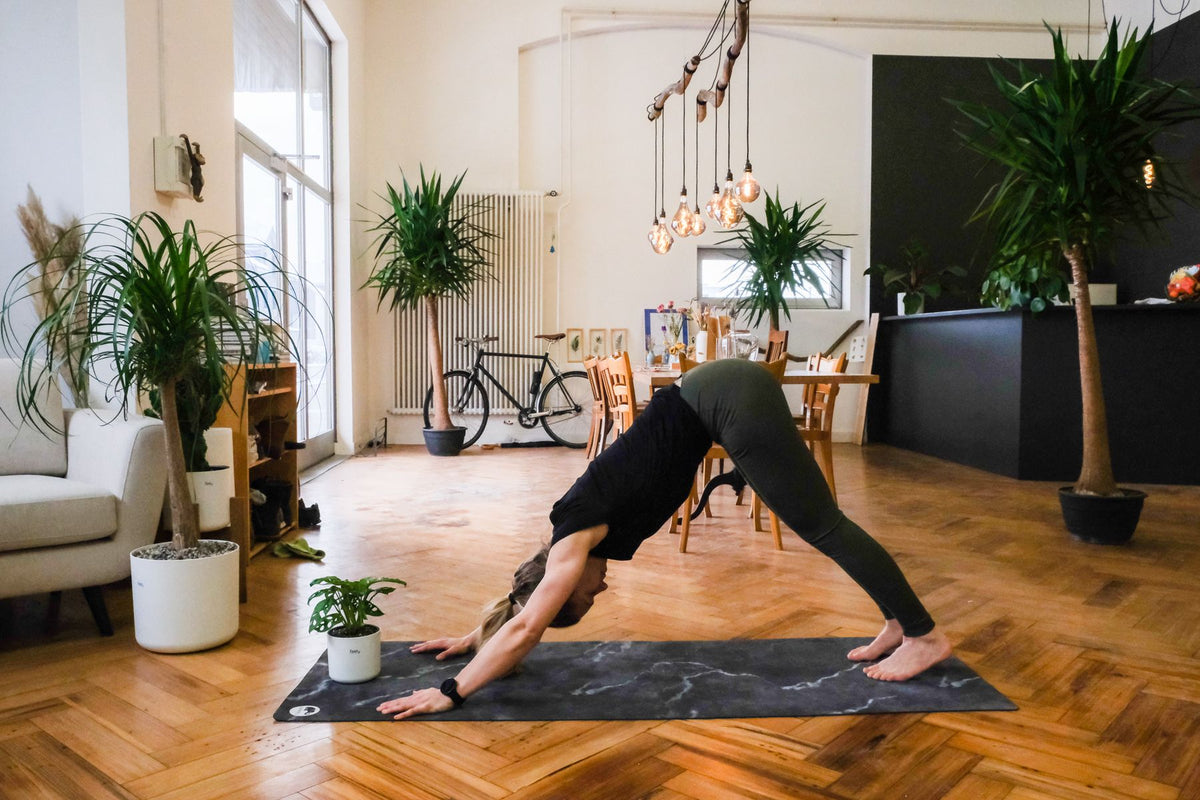 Plant-Yogi Hanna macht den Down Dog, die feey-Pflanze steht am Kopfende der Yogamatte