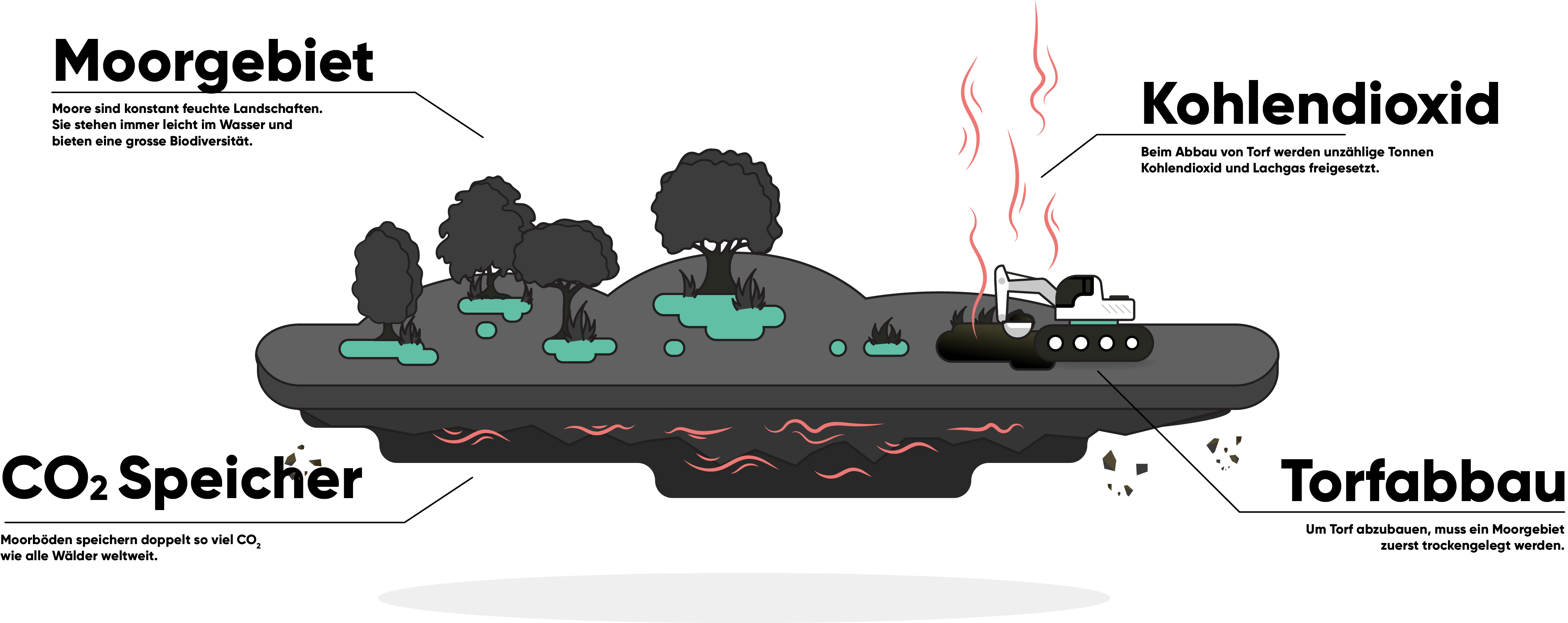 Grafik eines Moorgebiets, wo CO2 gespeichert und wegen Torfabbau freigesetzt wird