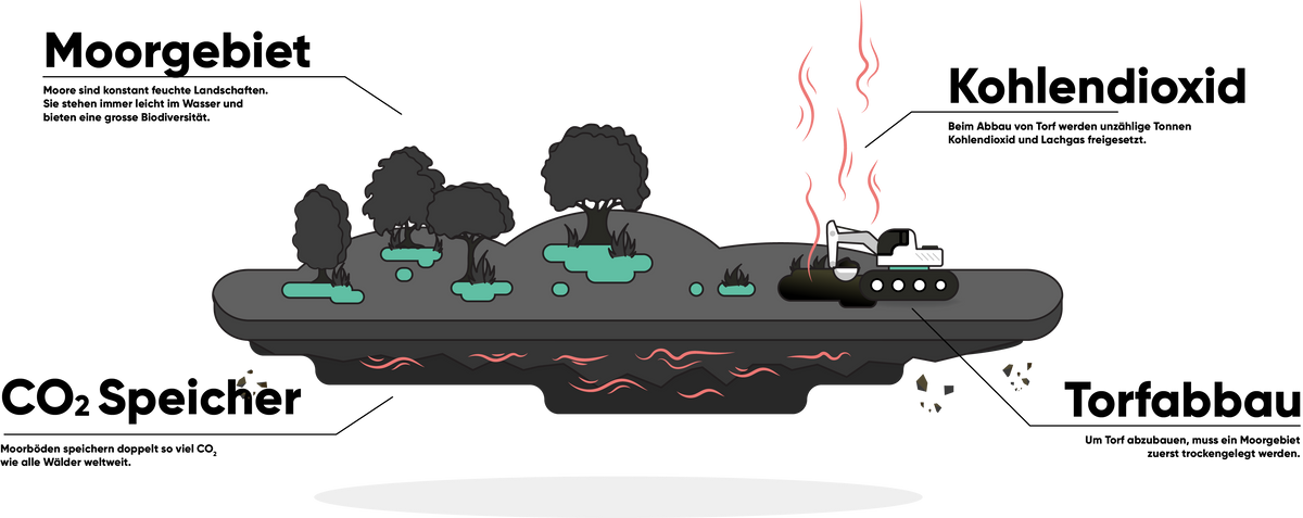 Grafik eines Moorgebiets, wo CO2 gespeichert und wegen Torfabbau freigesetzt wird