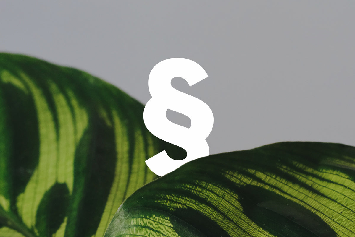 Ein Paragraphen-Symbol zwischen den Blättern einer Calathea