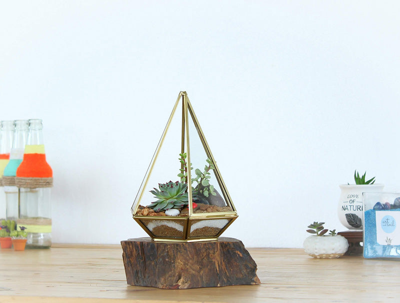 Dreieckiges Terrarium mit langer Spitze und kleiner Bepflanzung auf einem Holzstück auf einem Tisch